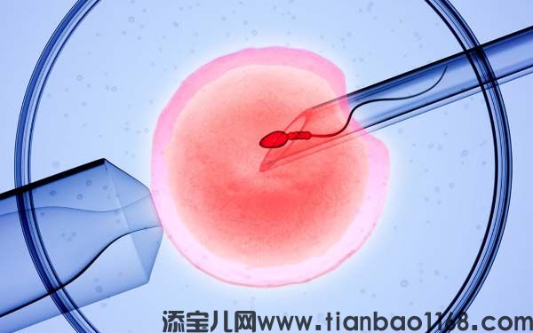 体外冷冻胚胎移植的费用是多少？